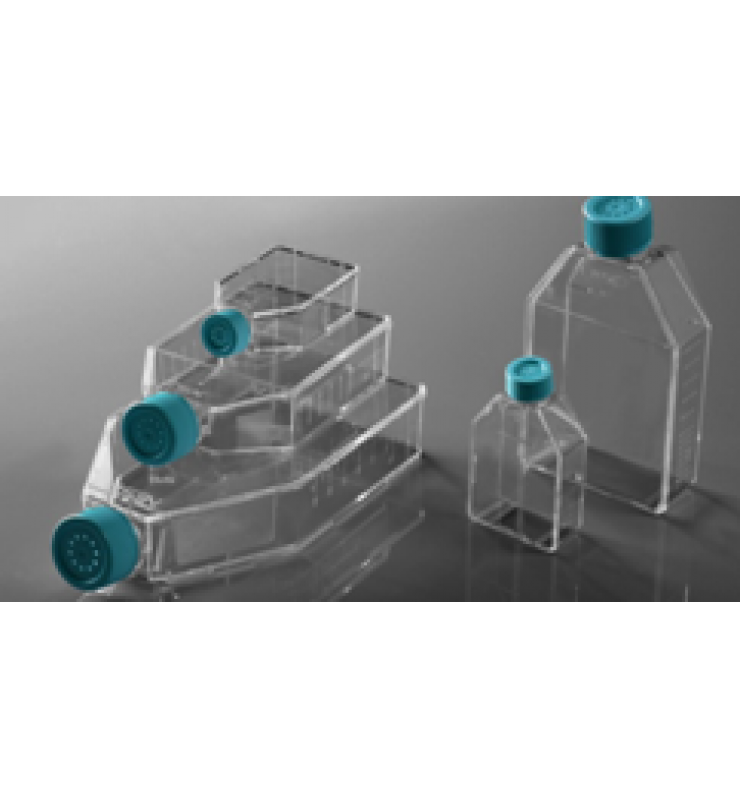 細胞培養瓶 Cell Culture Flasks 細胞培養瓶 Cell Culture Flasks